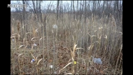 Calls From the Inside - Season 01 Episode 05